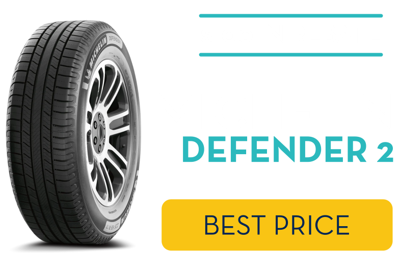 MICH EN 100